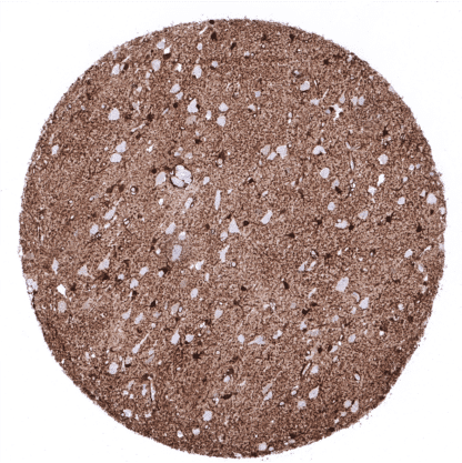 [sk1798] S100 (MSVA-490R)