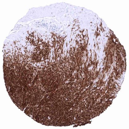 [sk1495] DOG1 (MSVA-201M)